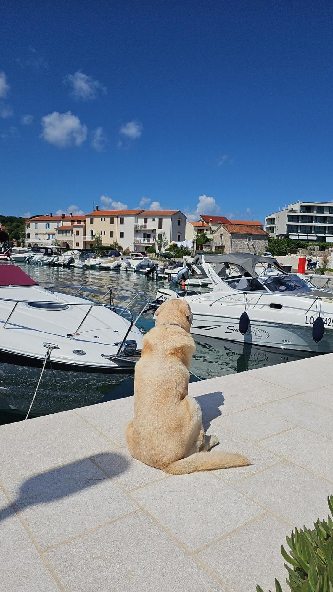Apartman Sea View Vantacici Εξωτερικό φωτογραφία